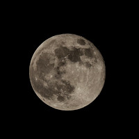 20241017_Hunter_Full_Moon-7