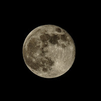 20241017_Hunter_Full_Moon-5